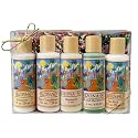 Gift Set - Five - 4 oz. Bath Products - Includes Moisturizer - SPF 15 - Shampoo - Hair Conditioner - Bath and Shower Gelee - Relaxing - Great Gift Beauty & Personal Care Arizona Sun