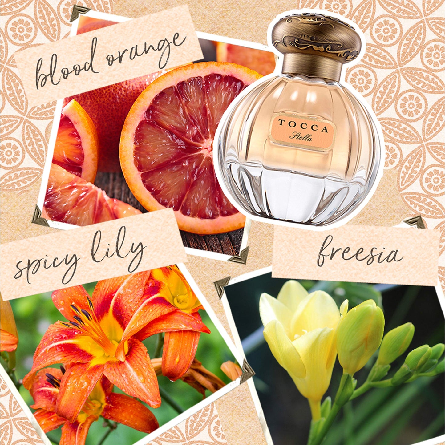 Tocca Beauty Eau de Parfum Viaggio Trio (Cleopatra, Stella, Florence) Beauty & Personal Care Tocca
