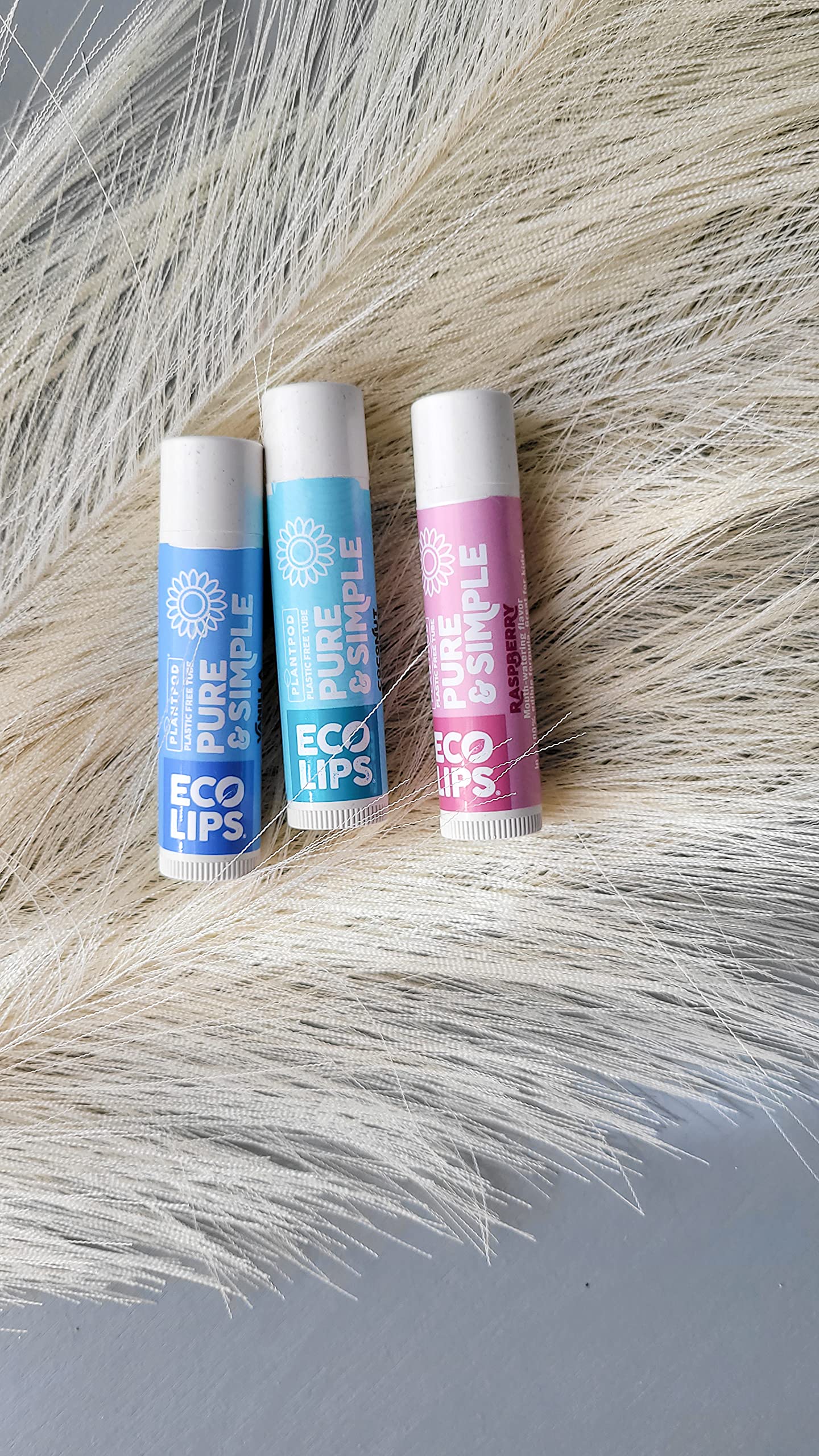 Eco Lips - Pure & Simple Raspberry, Coconut and Vanilla Organic Lip Balm 9-Pack (0.15 oz.) - 100% Natural. 100% Plastic-Free Plant Pod Packaging. Made Beauty & Personal Care Eco Lips
