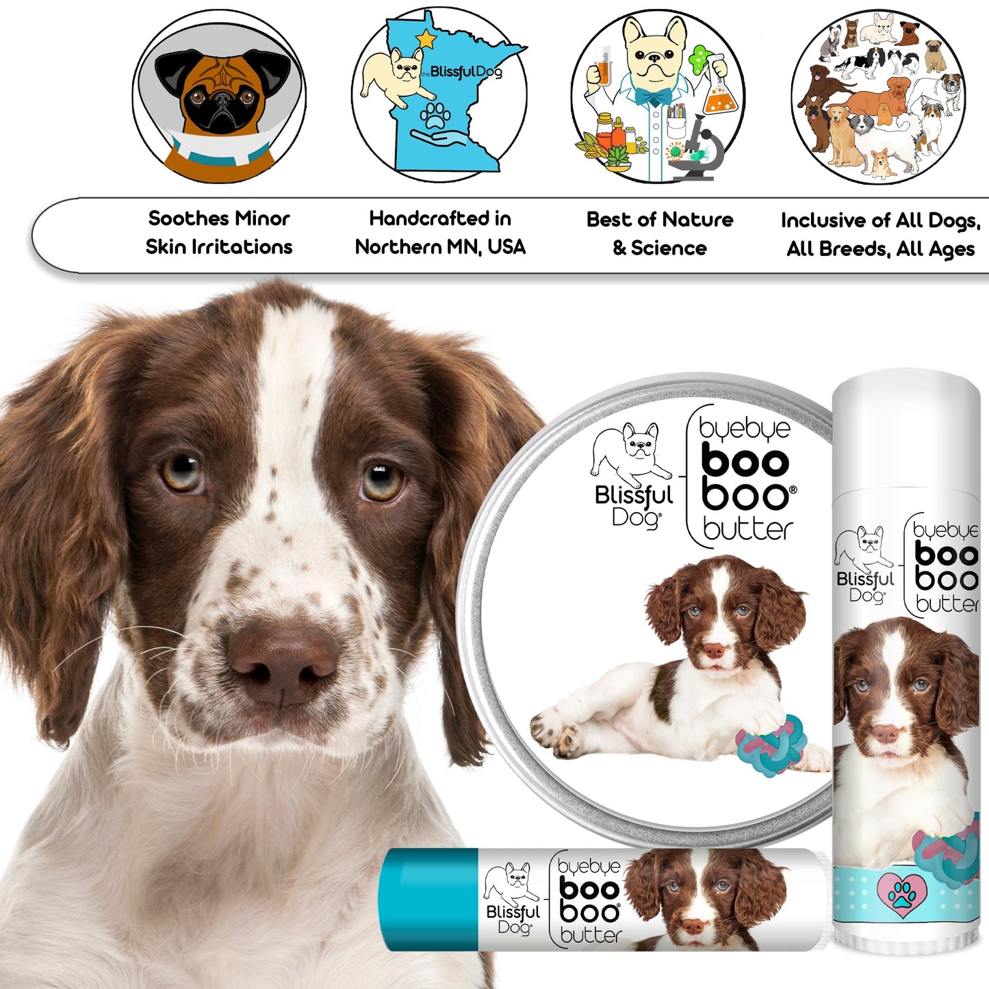The Blissful Dog Springer Spaniel Boo Butter, 0.50 oz Beauty and Personal Care The Blissful Dog