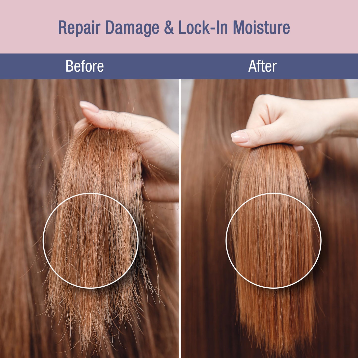 Climaplex Moisture and Repair Shampoo and Conditioner Set - Soothes and Purifies Scalp - Detangles Knots - Non-Greasy Formula - All Hair Types - 2 pcs Beauty & Personal Care Climaplex