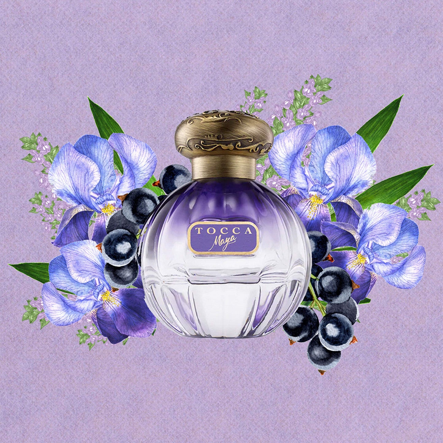 Tocca Maya for Women Eau de Parfum Spray, 3.4 Ounce Beauty & Personal Care Tocca