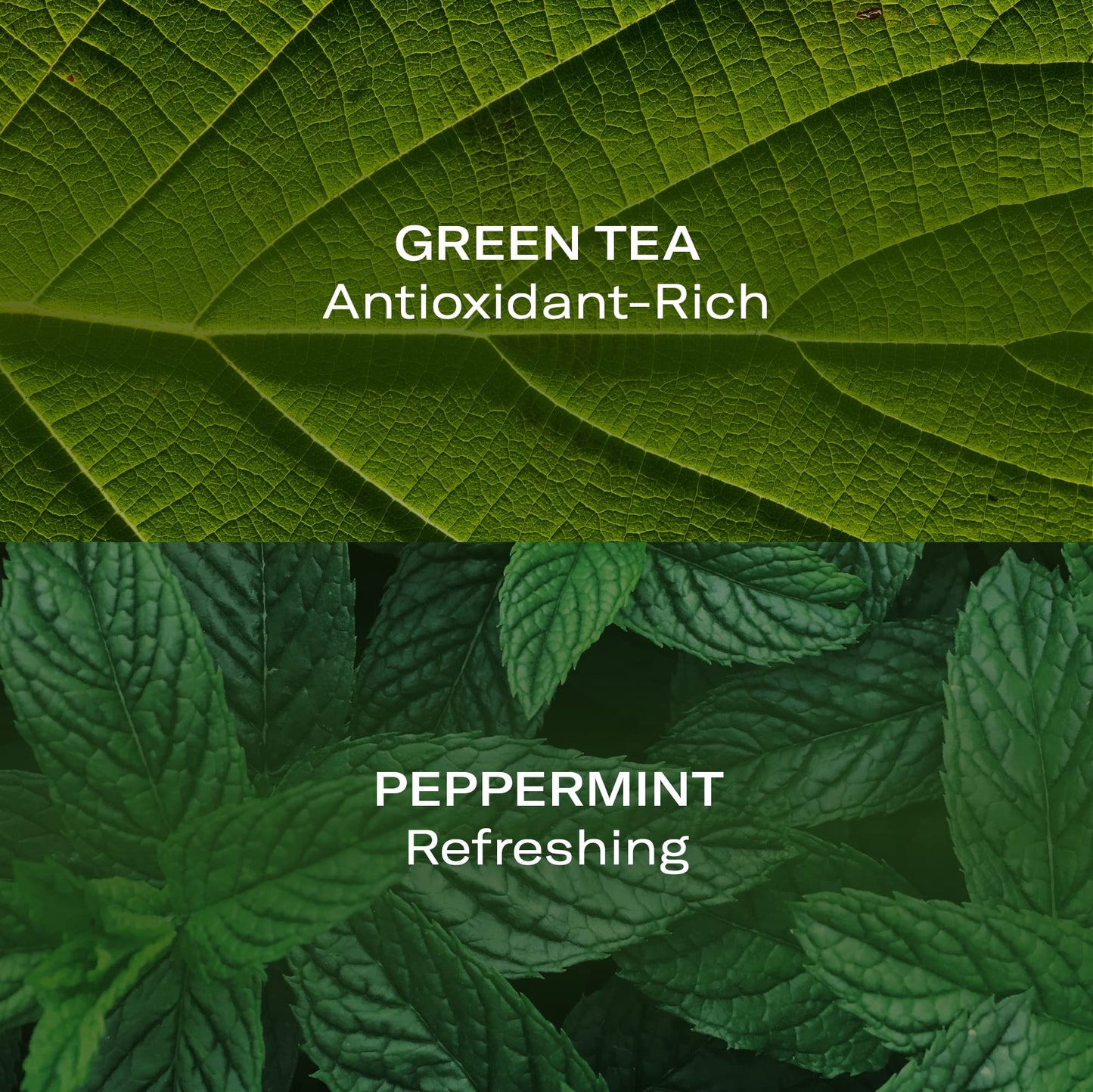 Odacité Anti Aging Face Serum - Mint & Green Tea Hydra-Purifying Mist Glow Recipe, Acne & Pimple Prone Skin, Clearing Face Mist for Hydration Beauty & Personal Care ODACITE