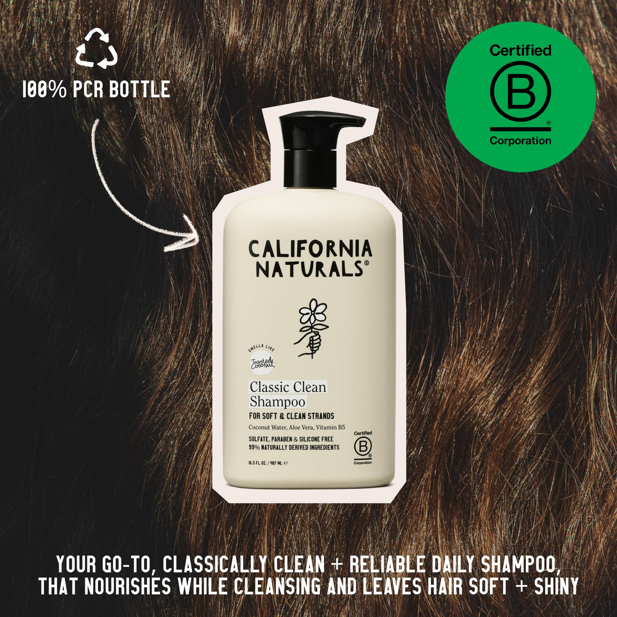 California Naturals Coconut Shampoo, Sulfate Free, Scalp and Hair Care for Women and Men, Coconut Cleansing Complex, Natural, Vegan, Cruelty,