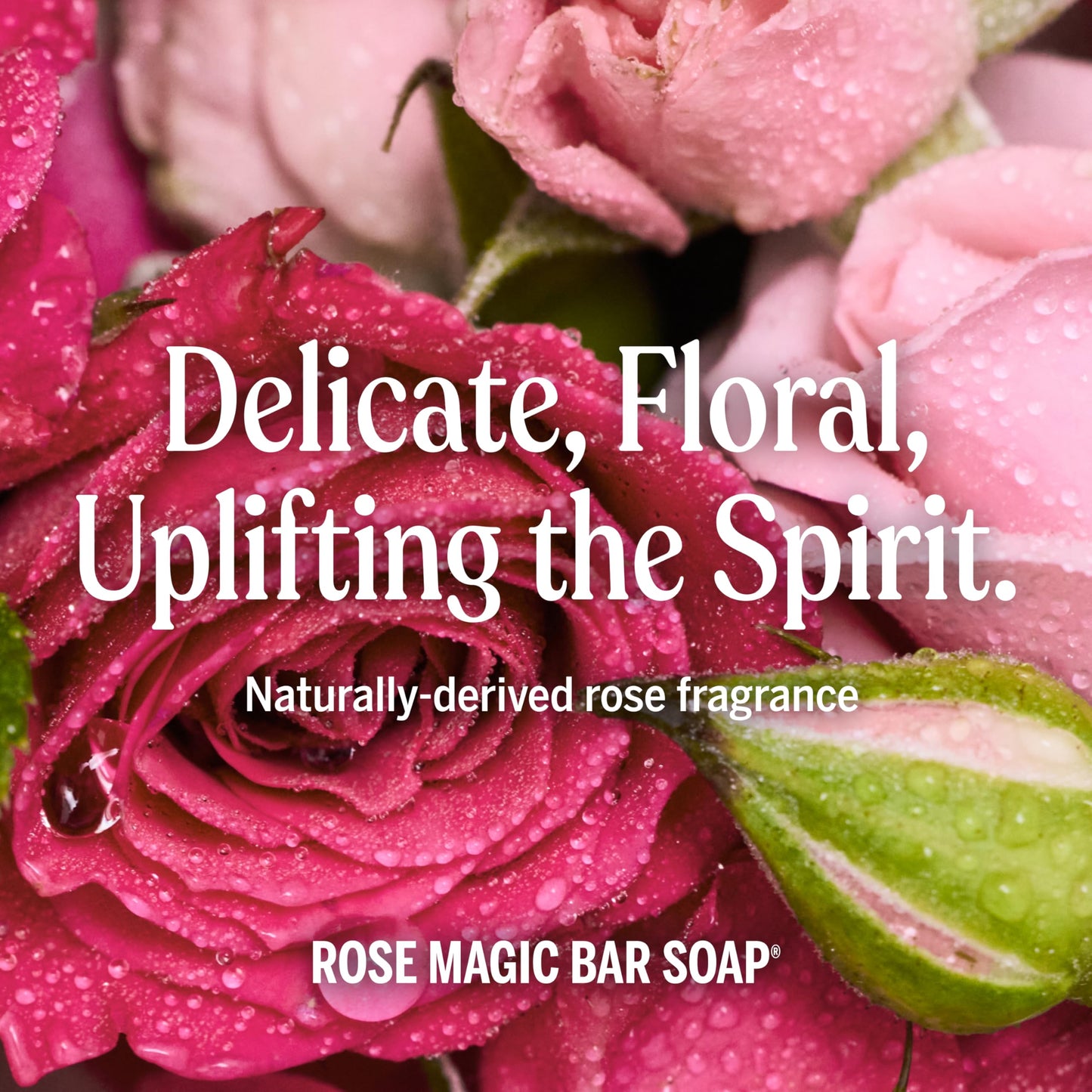 Dr. Bronner's Pure-Castile Magic Bar Soaps - Made with Regenerative Organic Certified Oils - For Face, Body, Hair- Vegan Soap Bars for Men & Women Beauty & Personal Care Dr. Bronner's