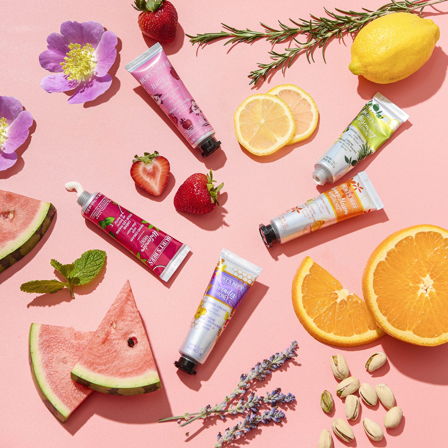 Burt’s Bees Lavender and Honey Hand Cream with Shea Butter, 1 Ounce Beauty & Personal Care Burt's Bees