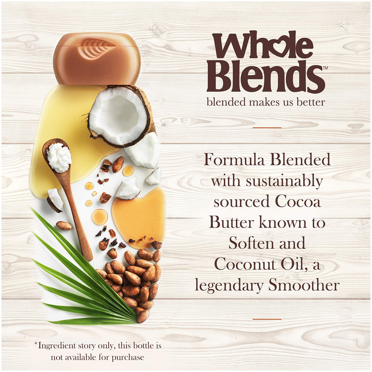 Garnier Whole Blends Shampoo Coconut Oil 12.5 Ounce (369ml) (2 Pack)
