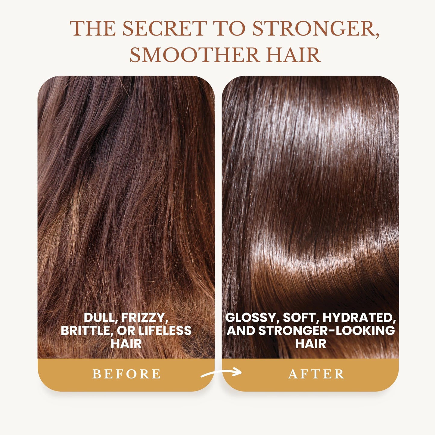 Edenika Botanicals Ginger Shampoo and Conditioner Set, Fortifying Formula with Certified and Organic Ingredients Naturally Nourish, Smooth Beauty & Personal Care EDENIKA BOTANICALS