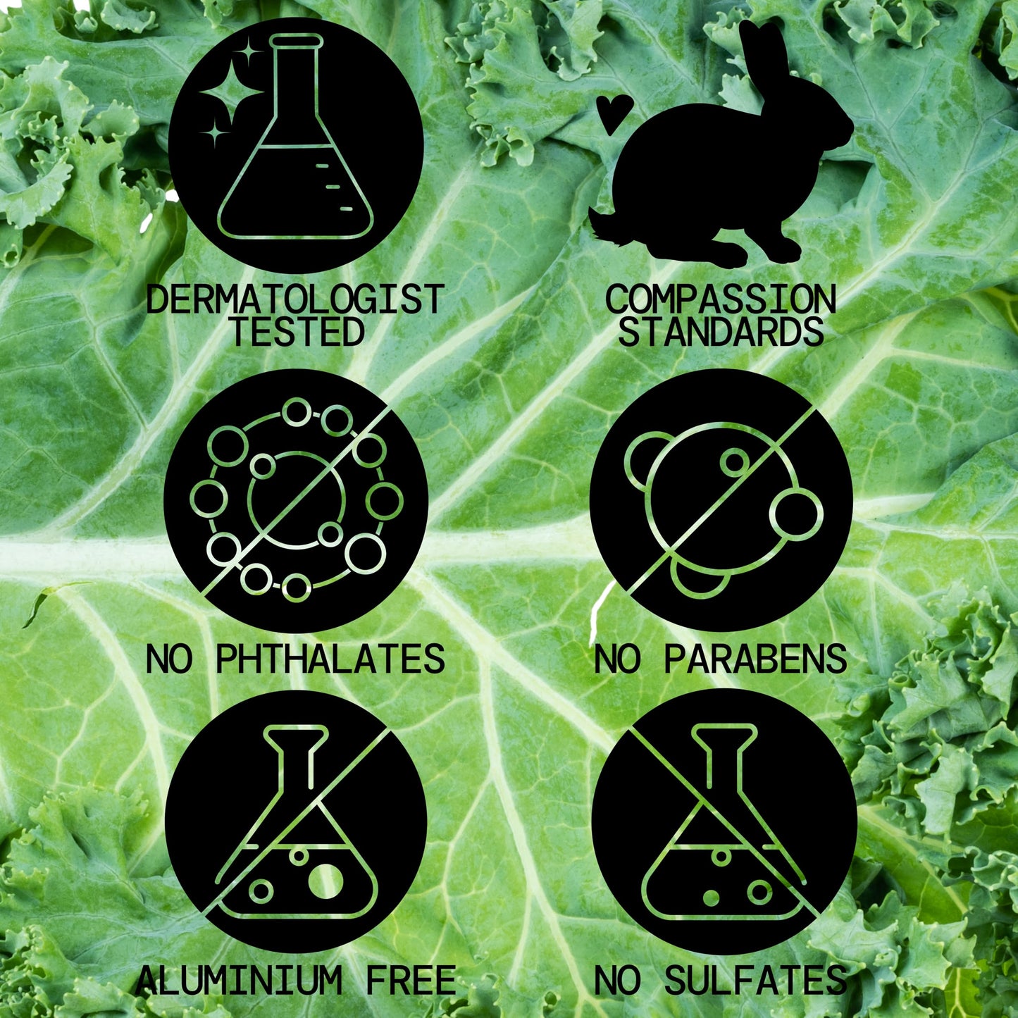 Pacifica Kale Yeah! Redness Rehab Serum - Niacinamide & Super Greens Face Serum to Calm Redness, Minimize Pores & Oil, Soothing Anti-Redness Beauty & Personal Care Pacifica