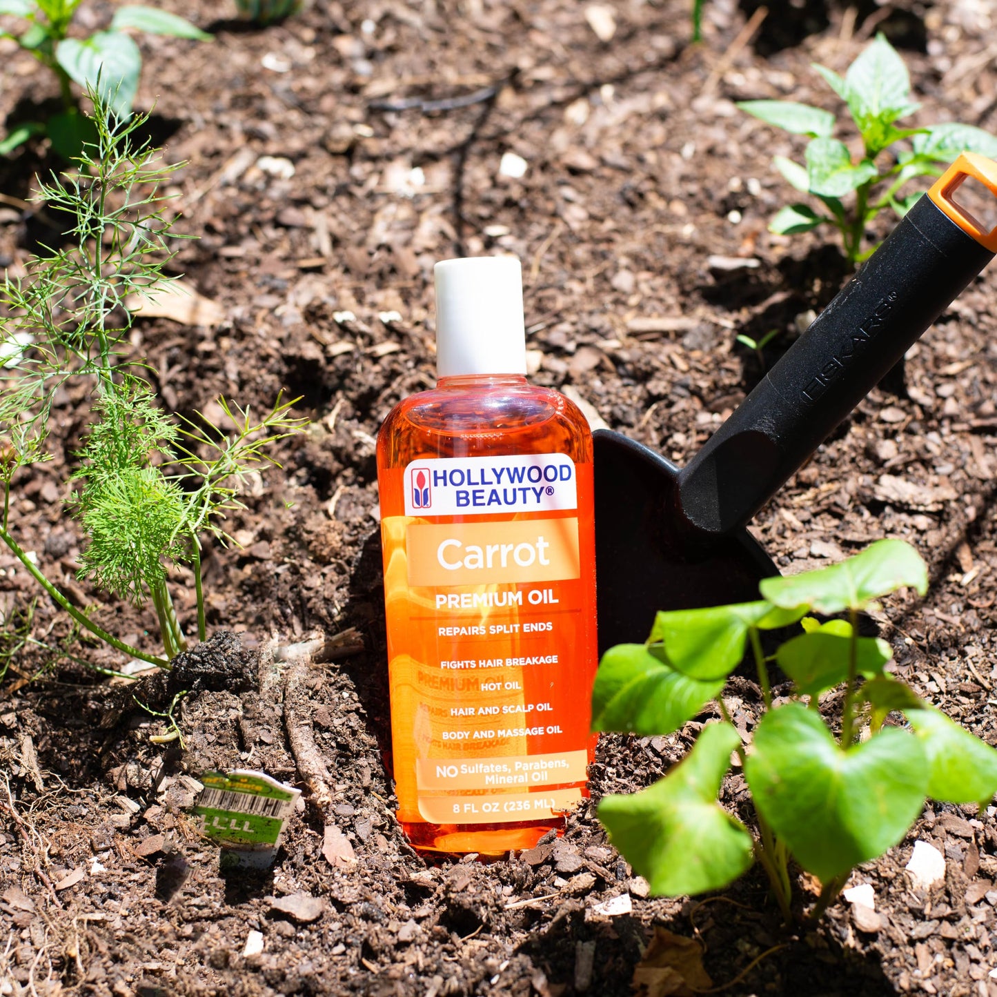 Hollywood Beauty Carrot Hair Oil, 8oz Bottle, Hair, Scalp, Skin, Nail, & Massage Oil, Helps Repair Damaged Hair & Skin, Can be Used as a Hot Oil Beauty & Personal Care Hollywood Beauty