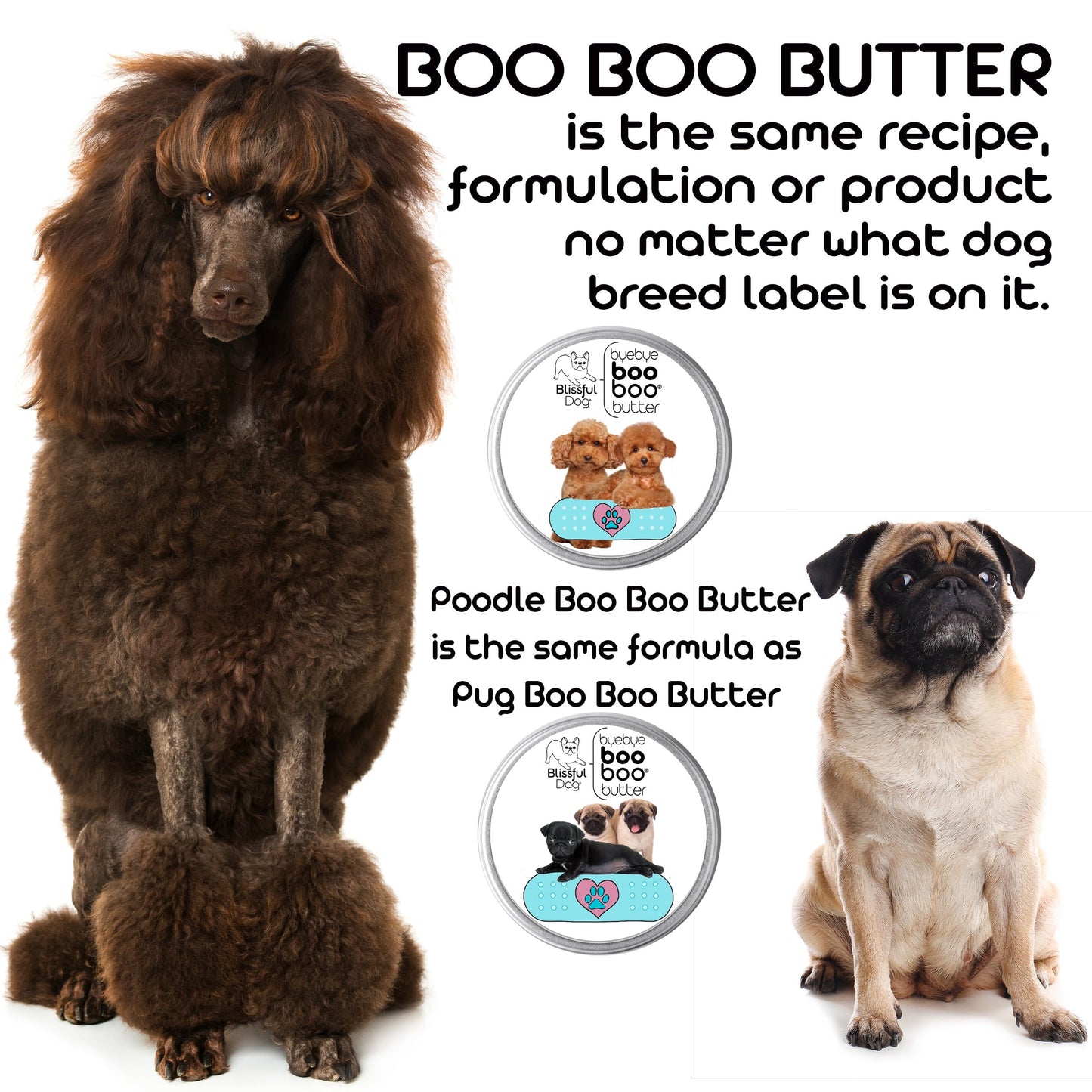 The Blissful Dog 1 oz TIN Border Collie Booboo Butter Beauty and Personal Care The Blissful Dog
