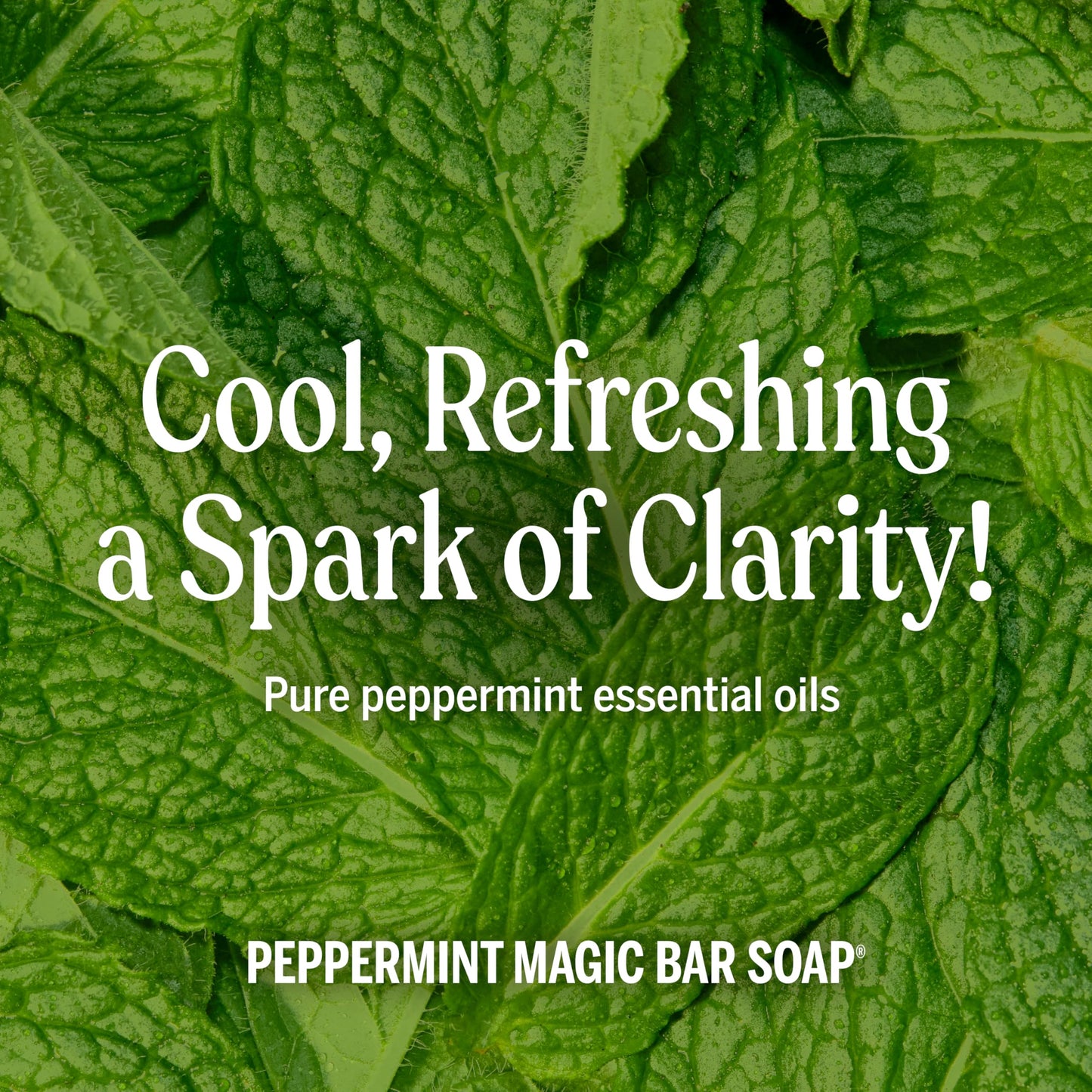 Dr. Bronner's Pure-Castile Magic Soap Bars (Peppermint, 5 oz, 6-Pack) - Made with Regenerative Organic Certified Oils - For Face, Body & Hair Beauty & Personal Care Dr. Bronner's