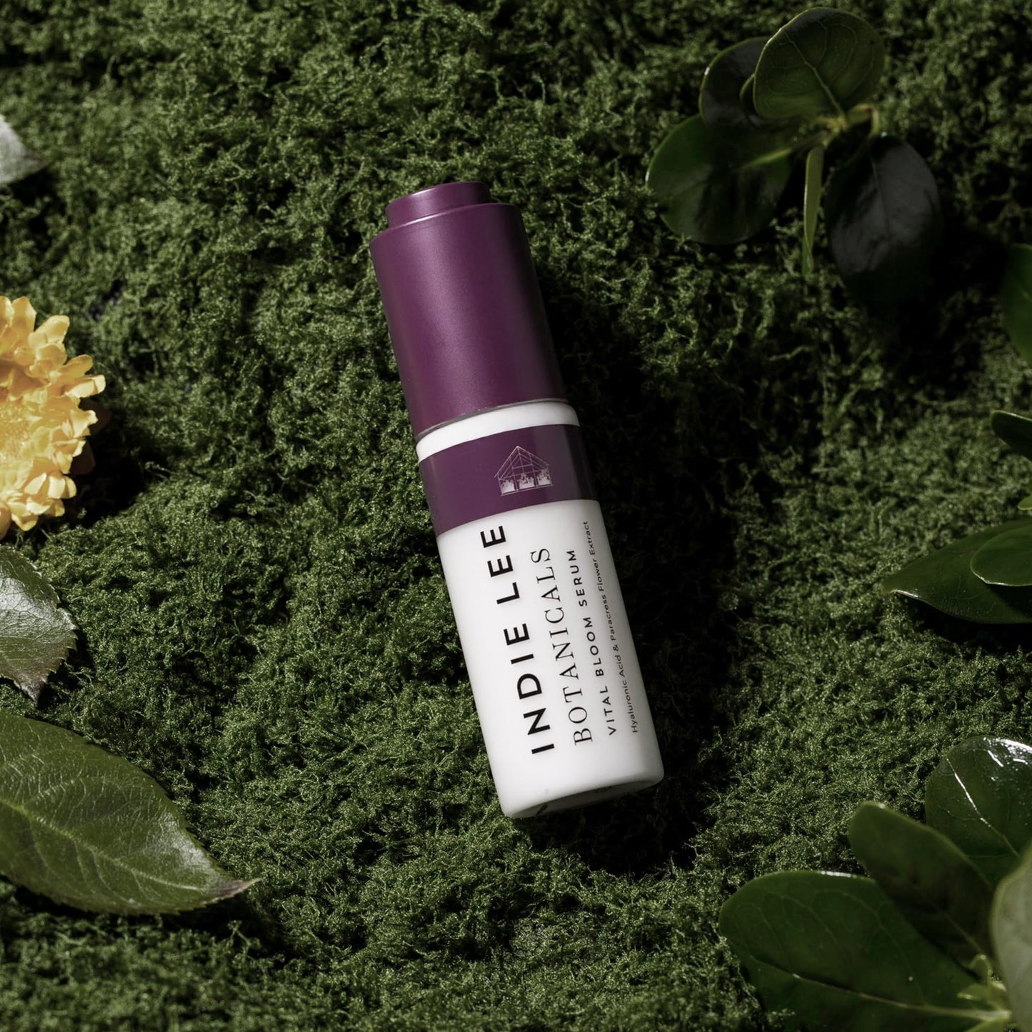 Indie Lee Vital Bloom Serum, 1 Fz Beauty & Personal Care Indie Lee