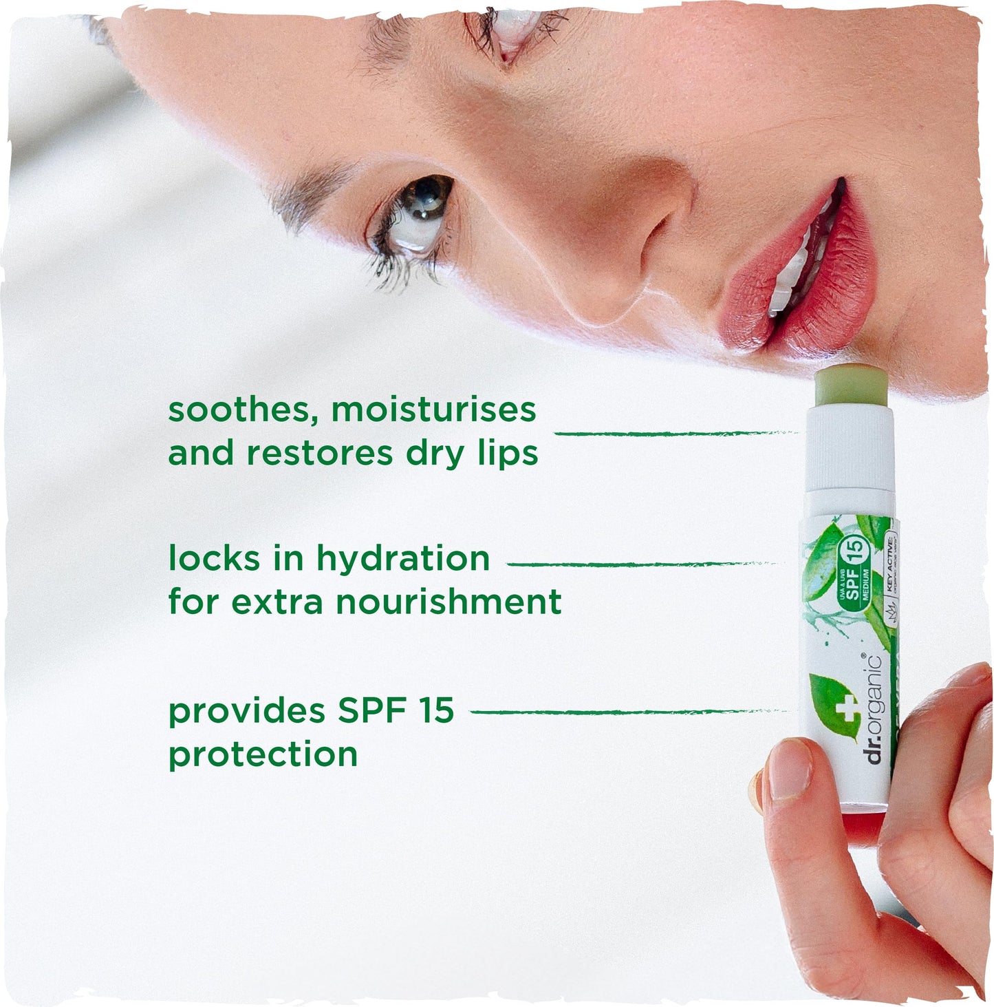 Organic Doctor Organic Aloe Vera Lip Balm, 5.7 ml Beauty and Personal Care Dr. Organic