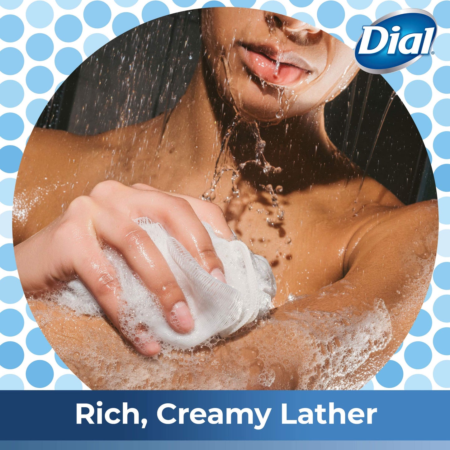 Dial Body Wash Himalayan Salt Enriching, 16 Fl Oz (Pack of 3) Beauty & Personal Care Dial