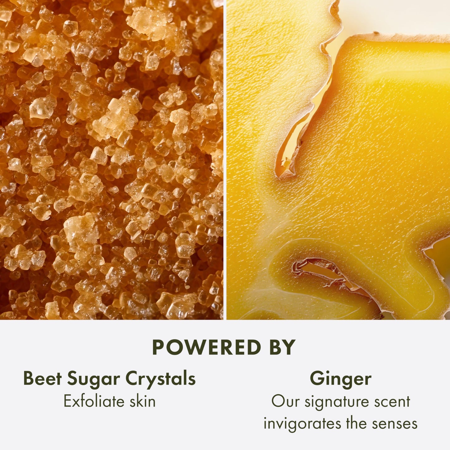 Origins Incredible Spreadable Smoothing Ginger Body Scrub | Gently Exfoliates | With Ginger & Sugar, 6.7 Fl Oz Beauty & Personal Care Origins