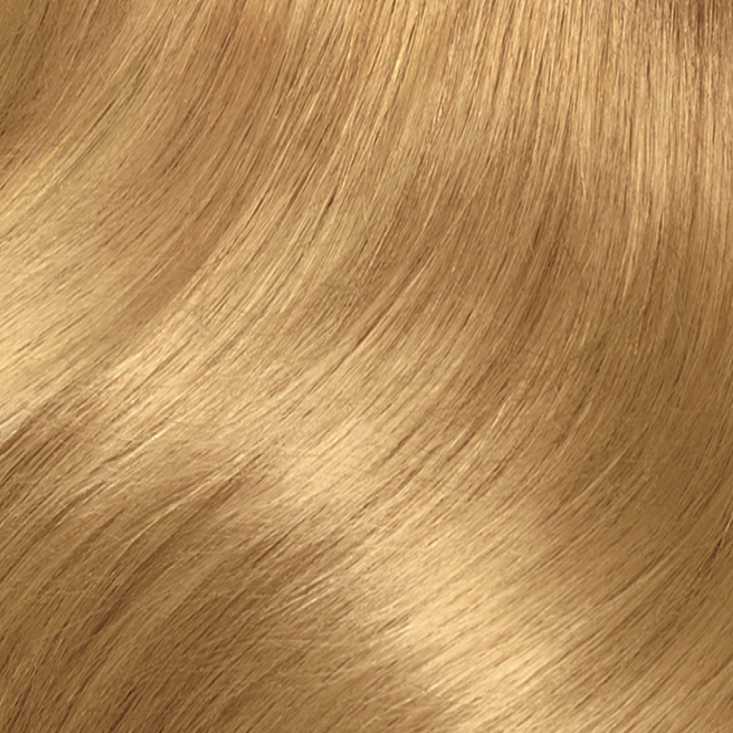 Clairol Nice'n Easy Permanent Hair Dye, 8G Medium Golden Blonde Hair Color, 3 Count Beauty & Personal Care Clairol