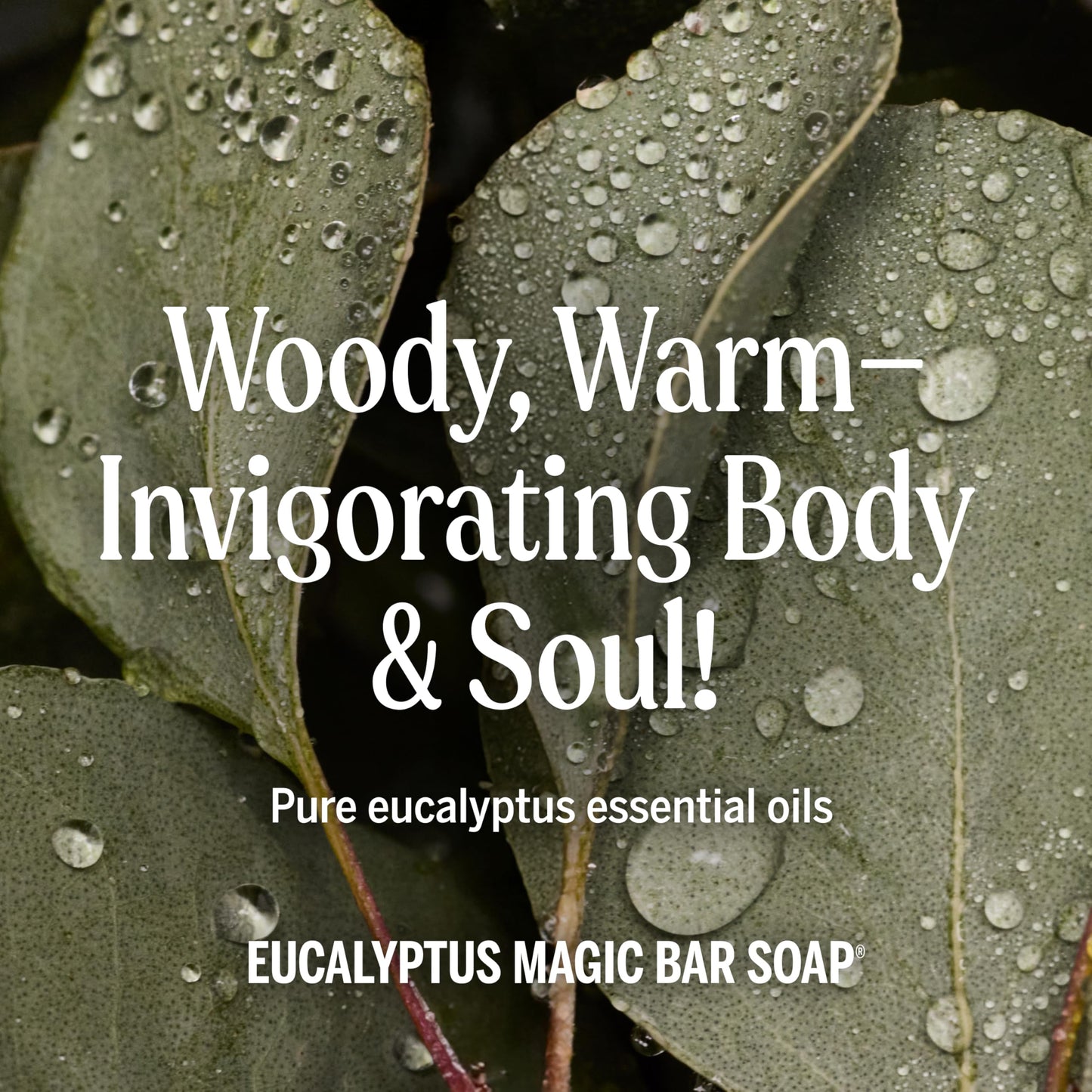 Dr. Bronner's Pure-Castile Magic Bar Soaps (Eucalyptus, 5oz, 12-Pack) - Made with RegeOrganic Oils, Soap Bars for Men & Women, Gentle for Face Beauty & Personal Care Dr. Bronner's