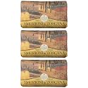 Saponeria Nesti Firenze:"Campagna Dorata" Perfumed Natural Soap,"Emozioni in Toscana" Line 8.8 Ounces (250g) Packages (Pack of 3) [ Italian Import ] Beauty & Personal Care Nesti Dante