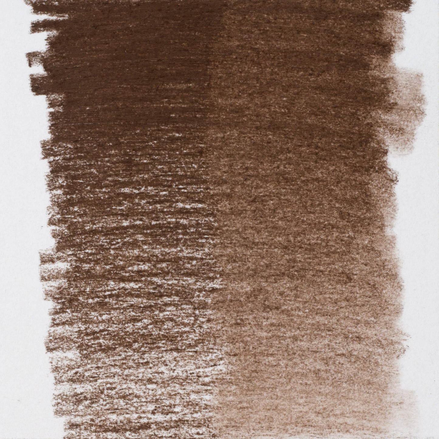 Bruynzeel Design Specialties Sepia Oscuro (8664K01) Beauty and Personal Care Bruynzeel