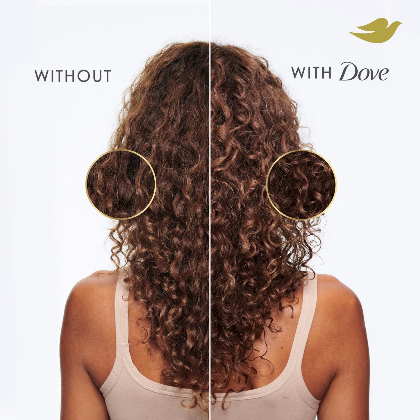 Dove Shampoo Argan Oil & Repair for Fine Hair with Bio-Protein Care Technology and Argan Oil Blend 12 Fl Oz Beauty & Personal Care Dove