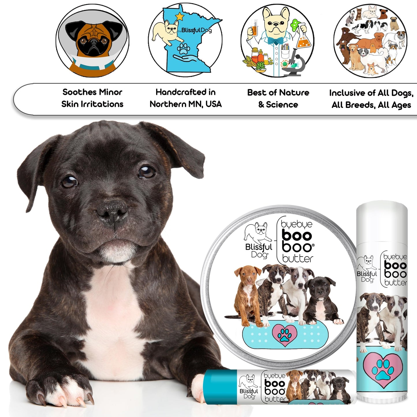 The Blissful Dog Staffordshire Pitbull Terrier Boo Boo Butter, 1-Ounce Beauty and Personal Care The Blissful Dog