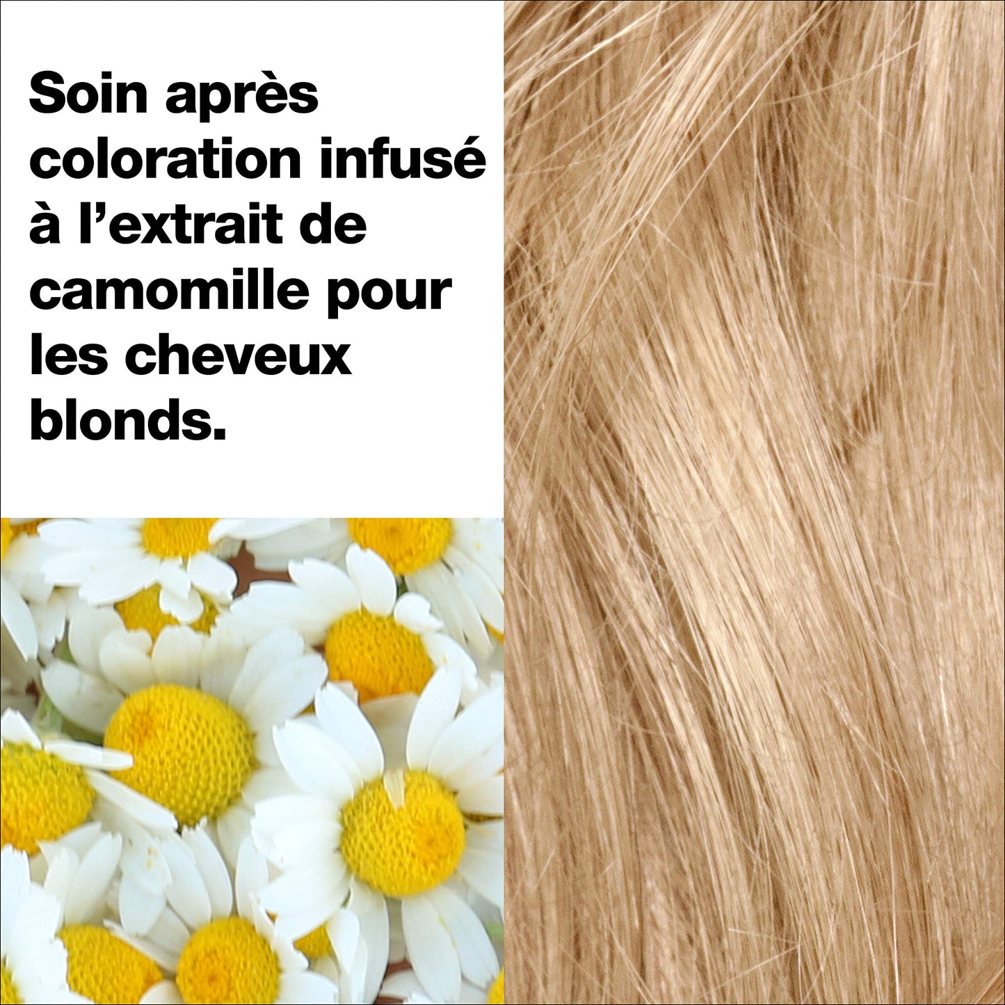 Revlon Total Color Permanent Hair Color, Clean and Vegan, 100% Gray Coverage Hair Dye, 70 Dark Natural Blonde, 3.5 oz Beauty & Personal Care REVLON