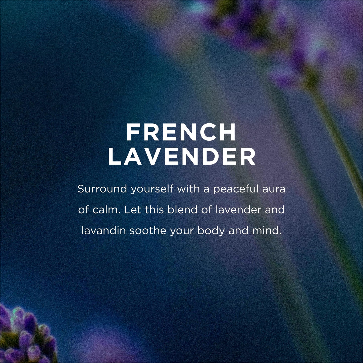 EO Sulfate-Free Moisturizing Hand Soap Refill - French Lavender - 32 Ounces - 2 Count Beauty & Personal Care EO