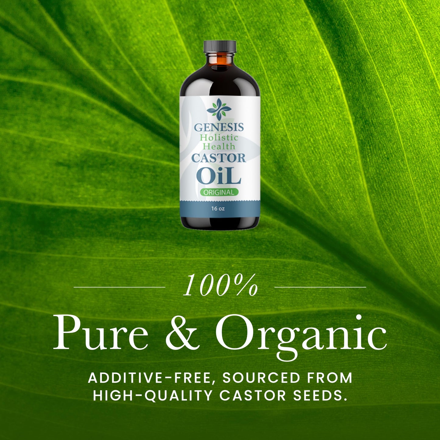 Genesis Holistic Health Organic Castor Oil - 100% Pure, Cold Pressed, Hexane Free - Nourishing Hair & Skin Oil - Eyelash & Eyebrow Growth, Deep Beauty & Personal Care Genesis Holistic Health