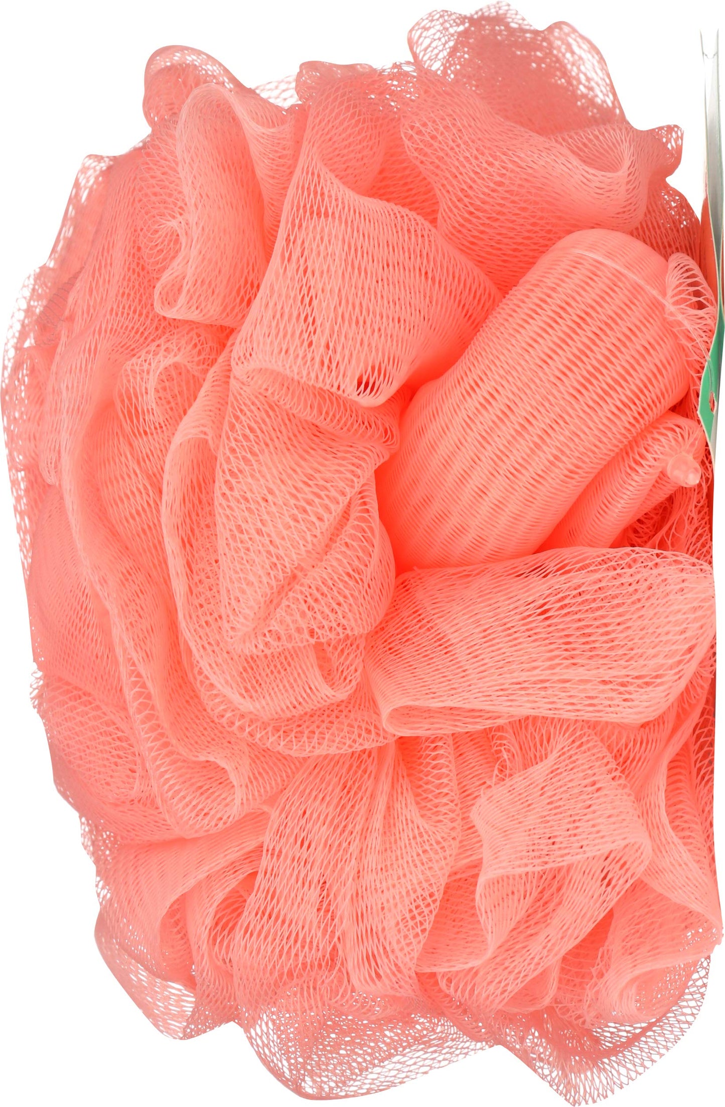 Earth Therapeutics Hydro Bdy Sponge Peach Ct2 Beauty and Personal Care Earth Therapeutics