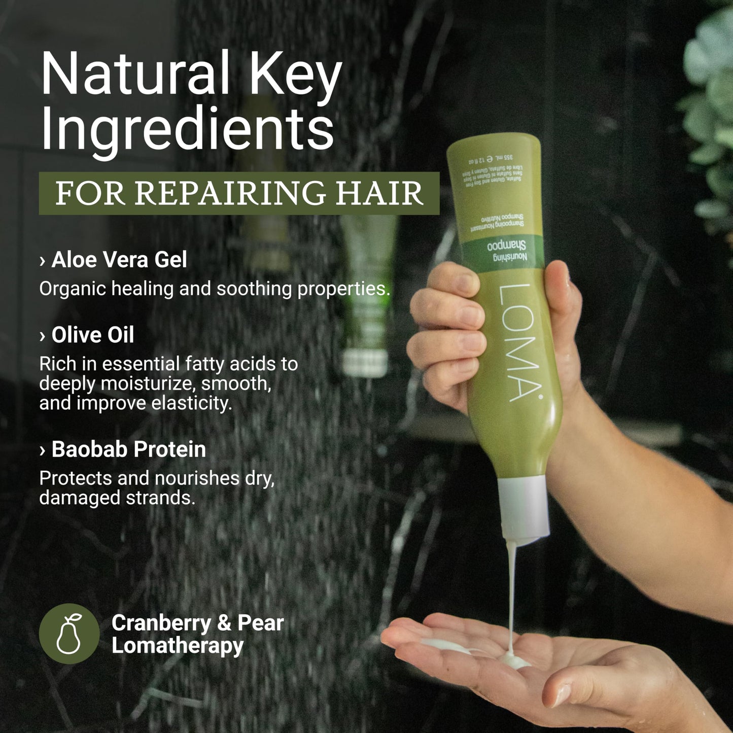 LOMA Nourishing Shampoo 12 Ounce Beauty & Personal Care Loma