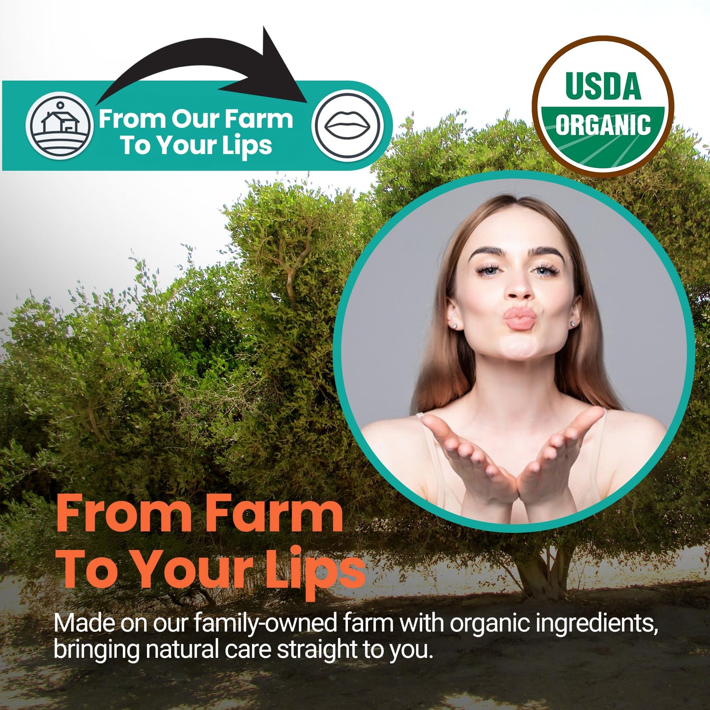 Desert Oasis Skincare | USDA Organic Orange Lip Balm - 70% Jojoba Oil with Beeswax - Natural Orange Essential Oil - Nourishes & Softens Dry Lips Beauty & Personal Care Desert Oasis Skincare