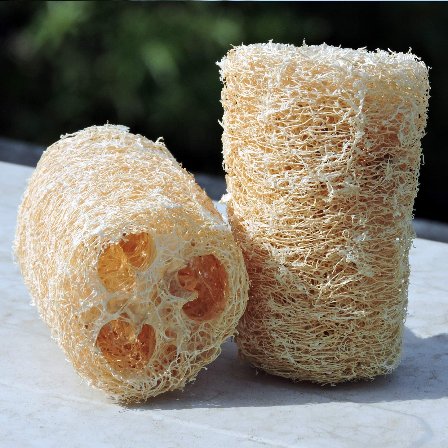 HealthGoodsIn - Organic Loofa Natural Bath Sponge, Set of 2 Exfoliating Bath Sponge Scrubber | Naturally Grown Loofah (Set of 2) Beauty & Personal Care HealthGoodsIn