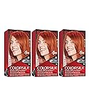 Revlon Permanent Hair Color, Permanent Hair Dye, Colorsilk with 100% Gray Coverage, Ammonia-Free, Keratin and Amino Acids, 45 Bright Auburn, 4.4 Oz Beauty & Personal Care REVLON