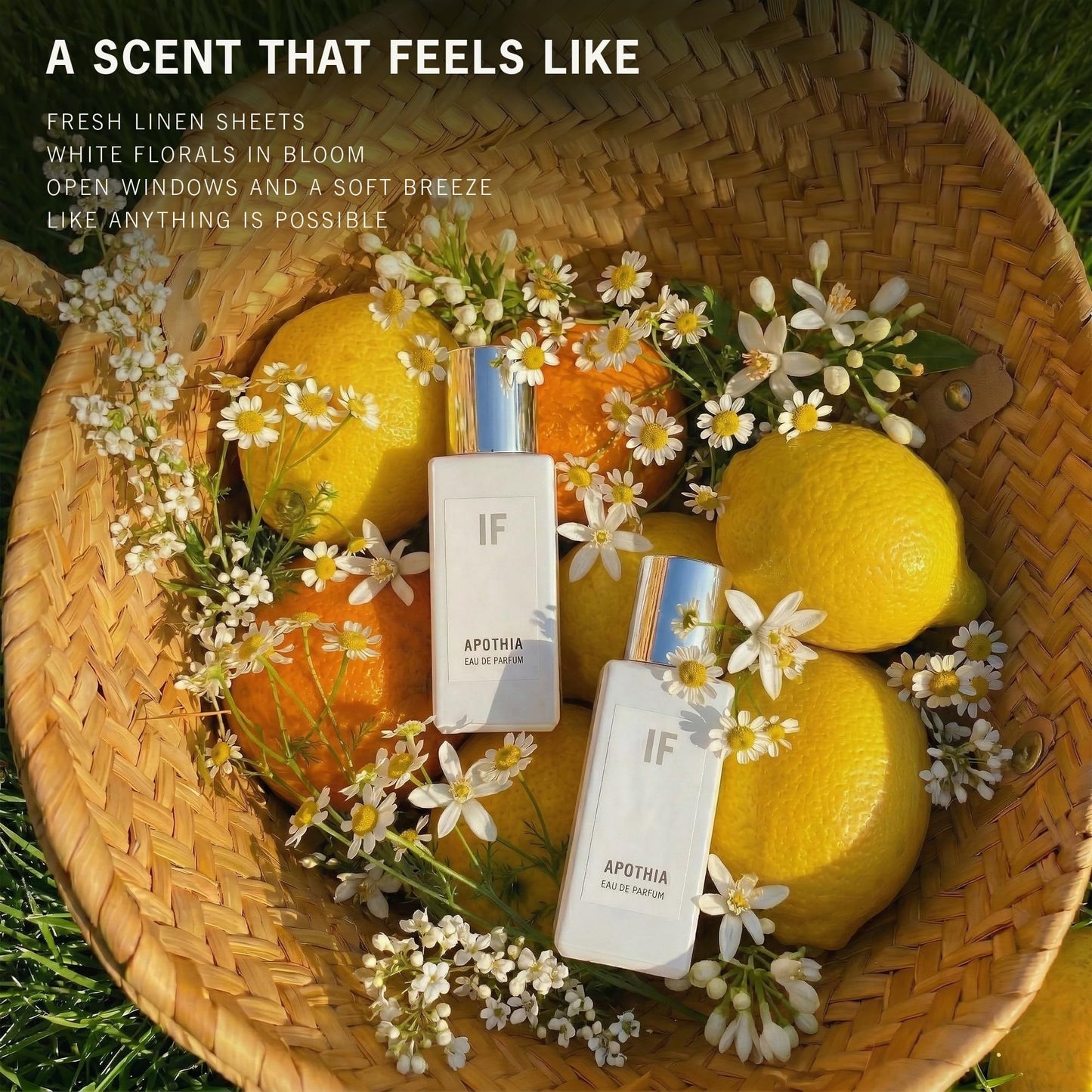 APOTHIA | IF Travel Eau de Parfum | IF Perfume Modern White Floral & Citrus | Award Winning Fragrance | Premium Ingredients | Long Lasting Scent | 0.4 Beauty & Personal Care APOTHIA