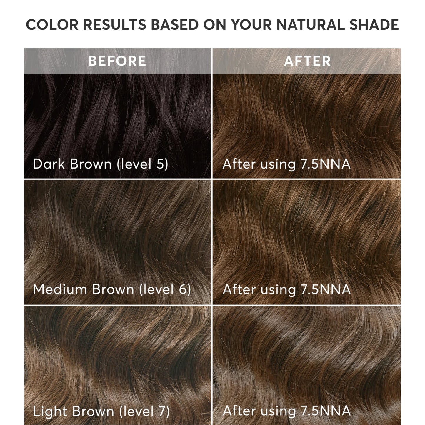 Madison Reed Radiant Hair Color Kit - 7.5NNA Light Neutral Brown (Umbria Brown), Permanent Hair Dye for Resistant Grays, 100% Gray Coverage | PPD-Free Beauty & Personal Care Madison Reed