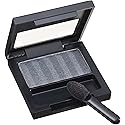 Revlon Luxurious Color Satin Eye Shadow, Platinum Glimmer, 0.08 Ounce Beauty & Personal Care REVLON