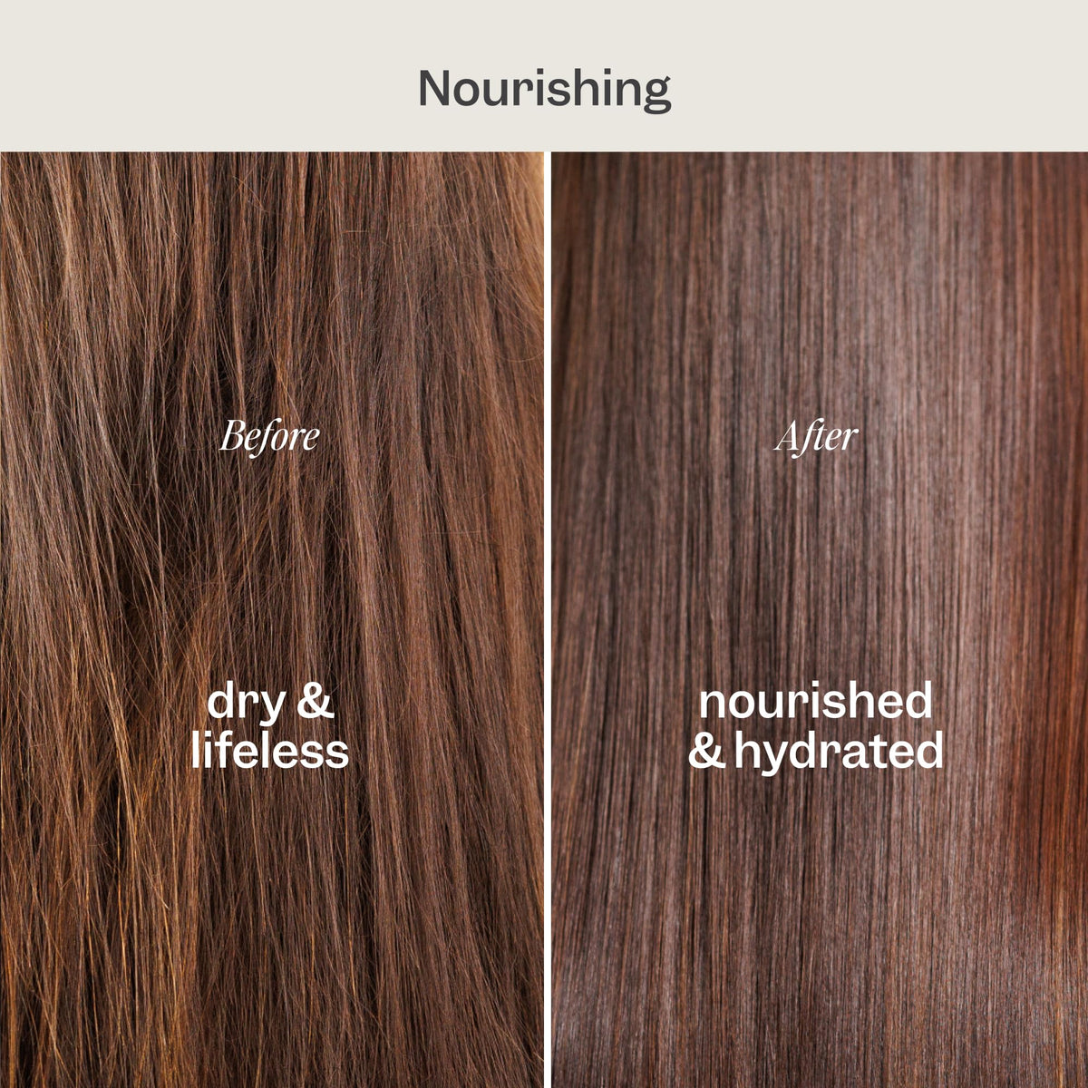 RENPURE Coconut & Vitamin E Nourishing Shampoo for Dry/Normal Hair 24oz