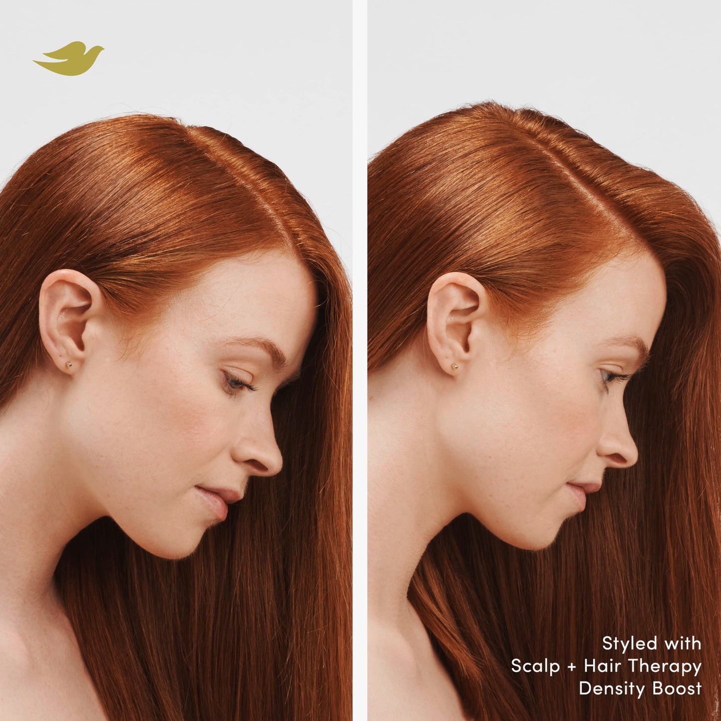 Dove Density Boost Root Lift Thickening Spray for Fuller Hair and Scalp Therapy, with Vitamin B3, Zinc and 0% sulfates, 5 oz Beauty & Personal Care Dove