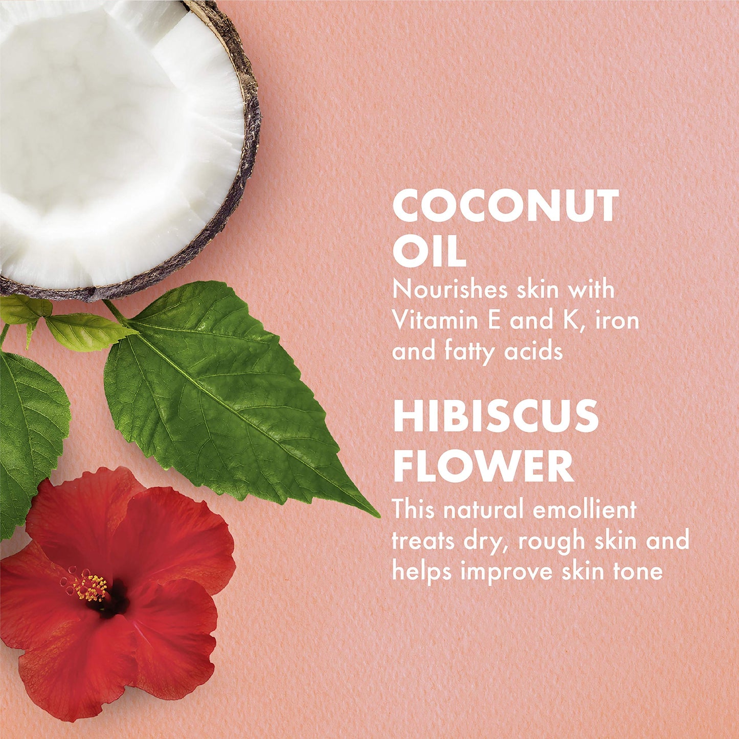 Coconut and Hibiscus Curl Enhancing Smoothie by Shea Moisture for Women - 3.2 oz Cream - Pack of 2 Beauty & Personal Care Shea Moisture