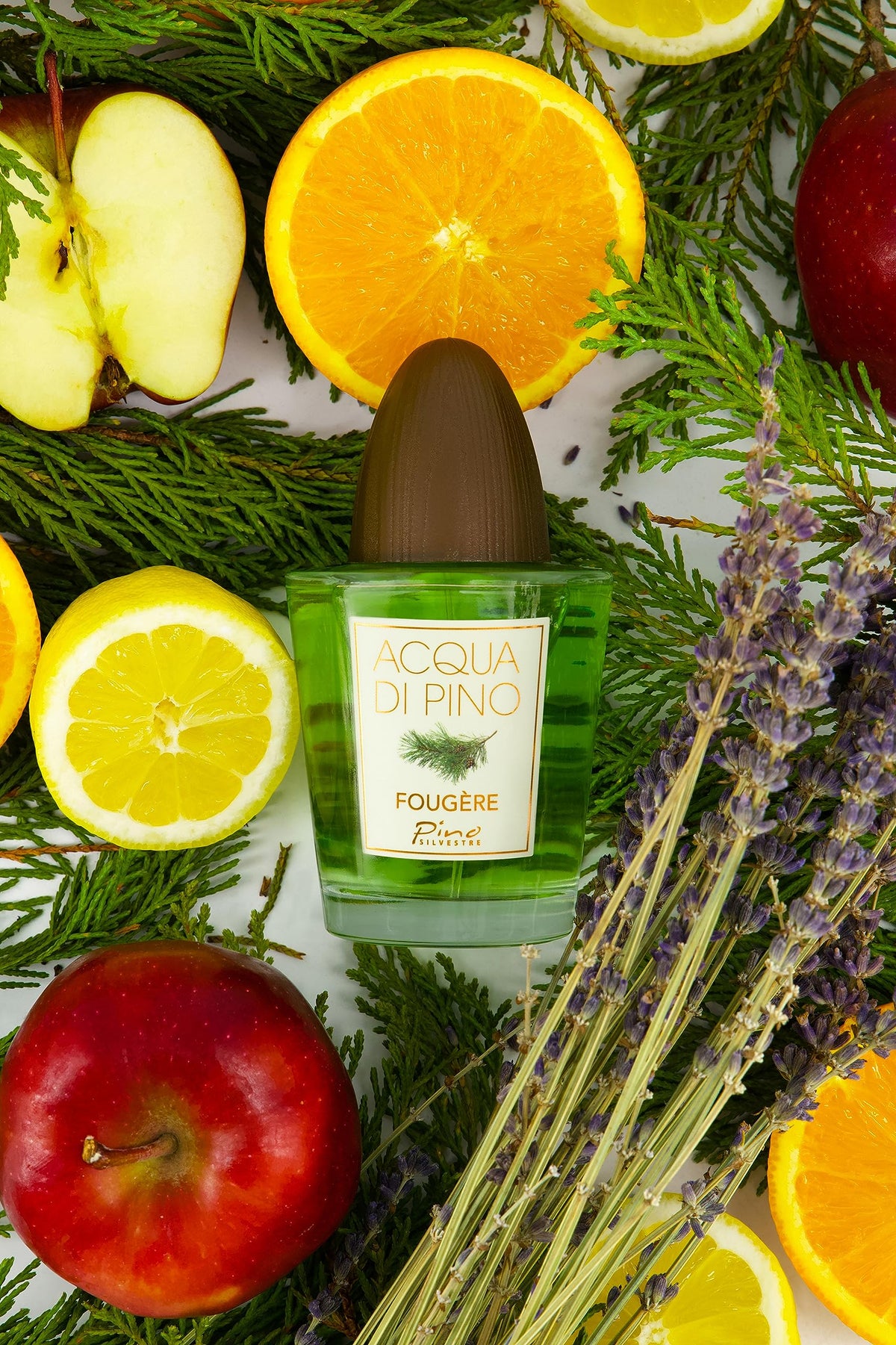 Acqua Di Pino Fougere By Pino Silvestre For Men - A Men's Eau De Toilette Cologne Perfume Spray With An Intense Fragrance For Every Guy - A Truly Male Beauty & Personal Care Pino Silvestre