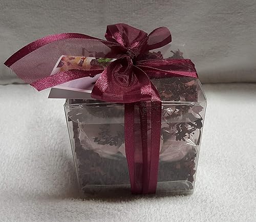 Spa Pure BLACKRASPBERRYVANILLA Bath Bombs: Gift Set with 14 1 oz, ultra-moisturizing bath bombs, great for dry skin, makes a great gift Beauty & Personal Care Spa Pure