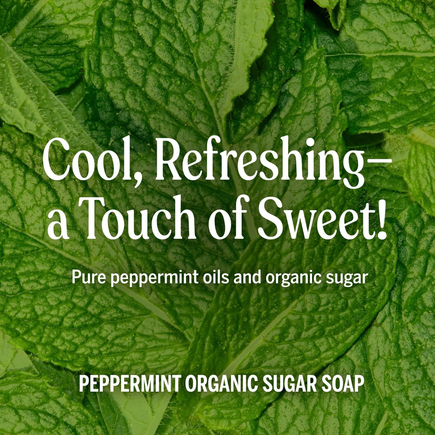 Dr. Bronner's - Organic Sugar Soap (Peppermint, 12 oz) - Made with Organic Oils, Sugar & Shikakai Powder, 4-in-1 Uses: Hands, Body, Face & Hair Beauty & Personal Care Dr. Bronner's