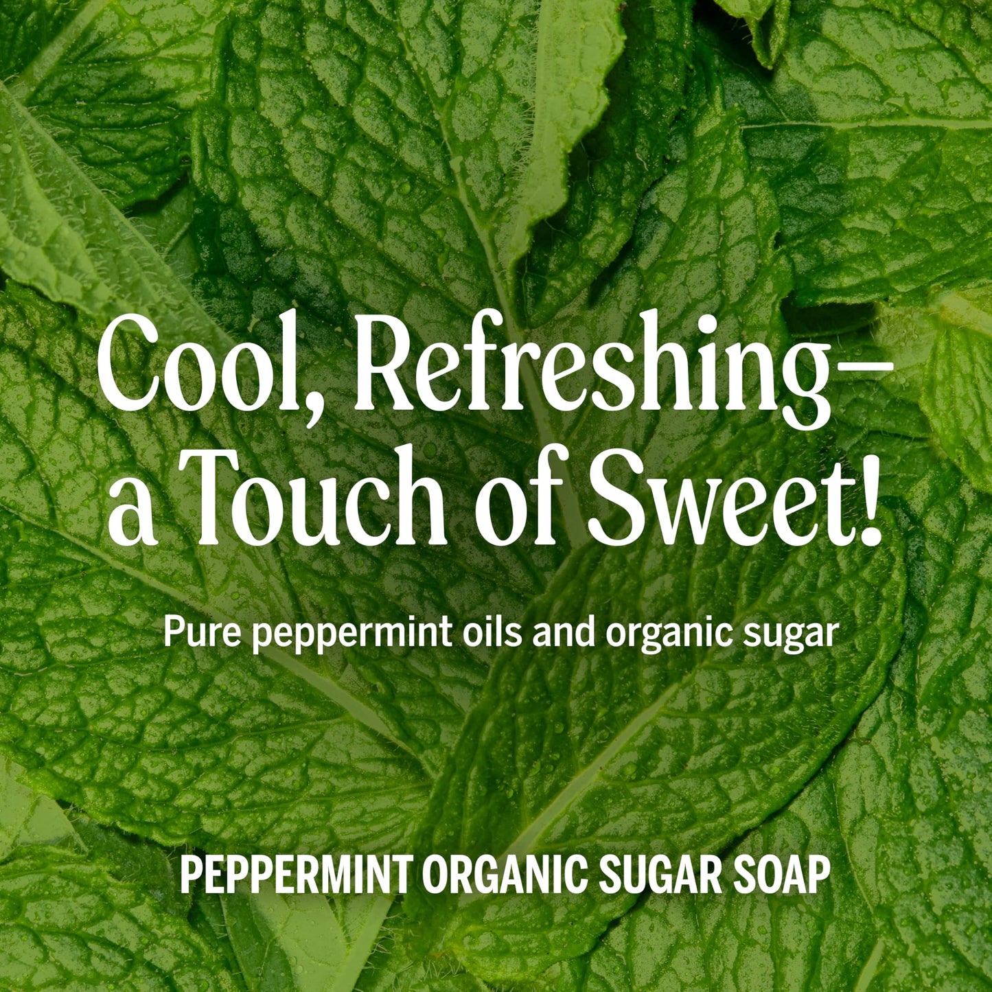 Dr. Bronner's - Organic Sugar Soap (Peppermint, 24 Ounce) - Made with Organic Oils, Sugar & Shikakai Powder, 4-in-1 Uses: Hands, Body, Face & Hair Beauty & Personal Care Dr. Bronner's