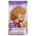 SoftSheen-Carson Dark and Lovely Permanent Hair Color Number 384, Light Golden Blonde by SoftSheen-Carson Beauty & Personal Care SoftSheen