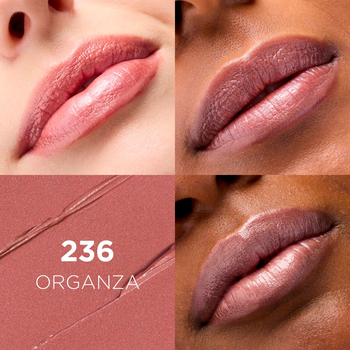 L'Oreal Paris Colour Riche Original Creamy, Hydrating Satin Lipstick with Argan Oil and Vitamin E, Organza , 1 Count Beauty & Personal Care L'Oreal Paris