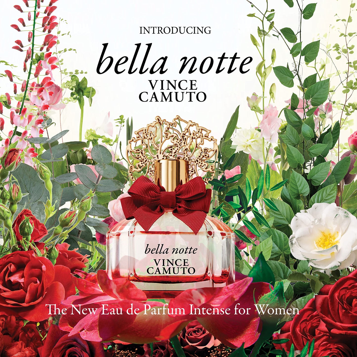 Vince Camuto Bella Notte Eau De Parfum Intense Spray 1.0 oz Beauty & Personal Care Vince Camuto