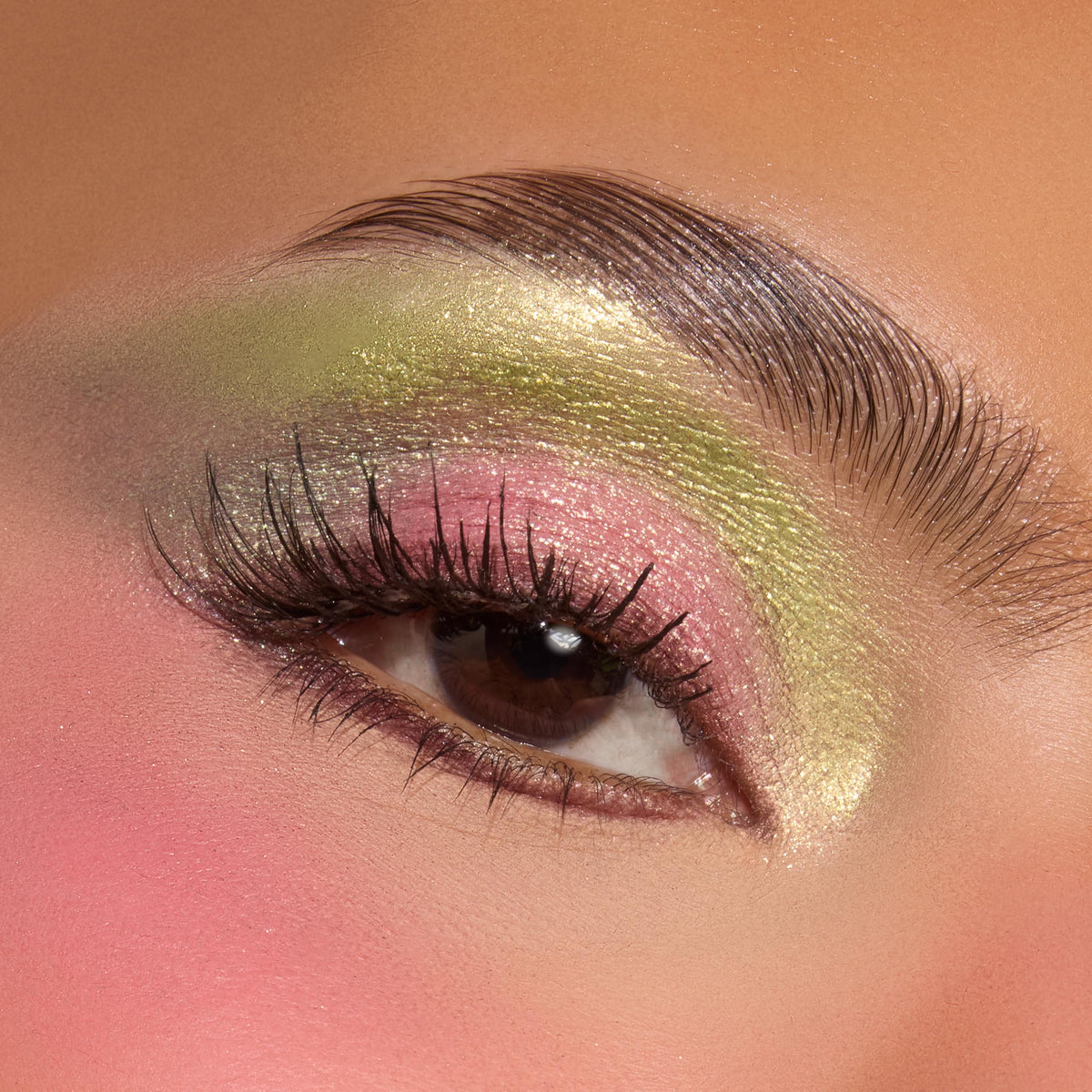 ColourPop x The Grinch How The Grinch Stole Christmas Eyeshadow Palette - Limited Edition 15 Pan Eye Makeup Palette with 5 Buildable & Blendable… Beauty & Personal Care ColourPop