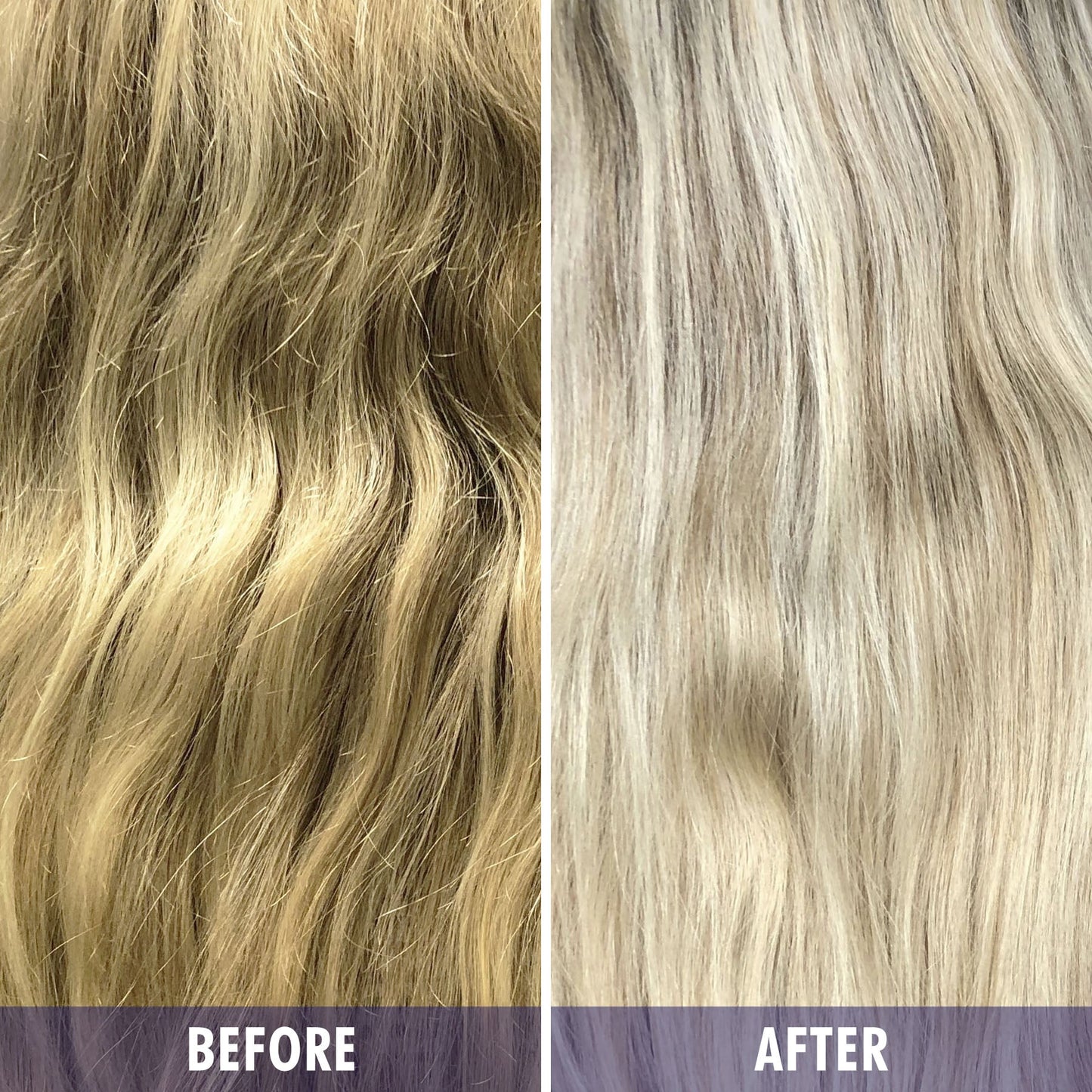 Framesi Color Lover Dynamic Blonde Purple Shampoo and Conditioner Set, 16.9 fl oz Beauty & Personal Care FRAMESI