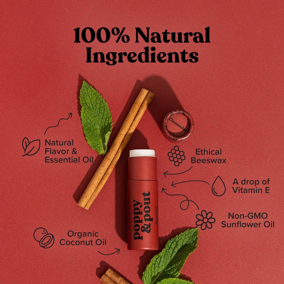 Poppy & Pout Cinnamint Jumbo Lip Balm | All Natural Lip Balms & Moisturizers | Hydrates with Beeswax, Vitamin E, Organic Coconut Oil | Cruelty-Free | Beauty & Personal Care Poppy & Pout